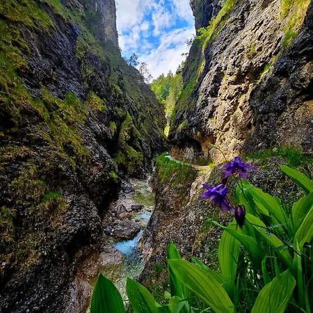 Malterlehen-berchtesgaden Apartment