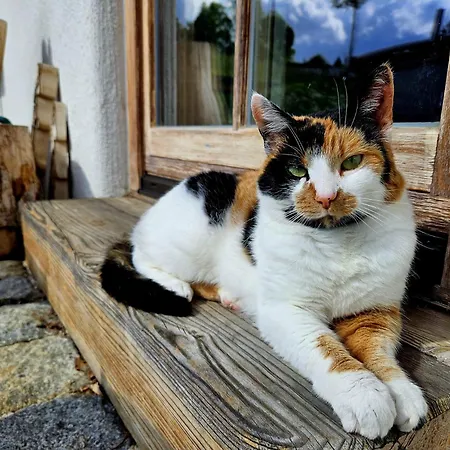 Malterlehen-berchtesgaden Apartment Berchtesgaden