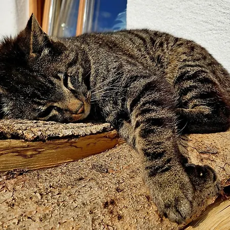 Malterlehen-berchtesgaden *