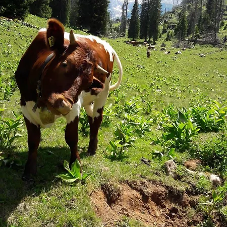 Malterlehen-berchtesgaden