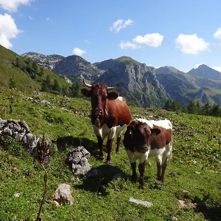 Malterlehen-berchtesgaden * Берхтесгаден