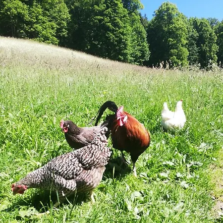 Lägenhet Malterlehen-berchtesgaden *
