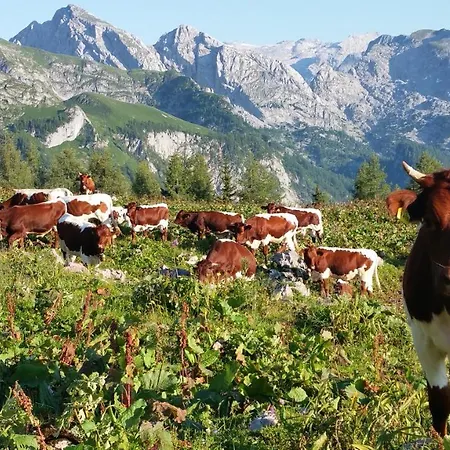 Malterlehen-berchtesgaden *